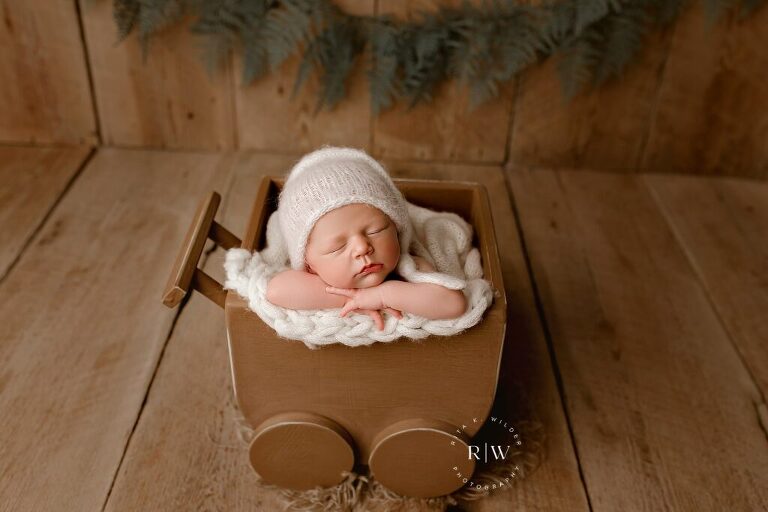Dallas Area Newborn Photographer